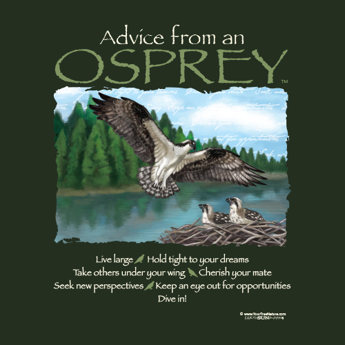 Advice Osprey