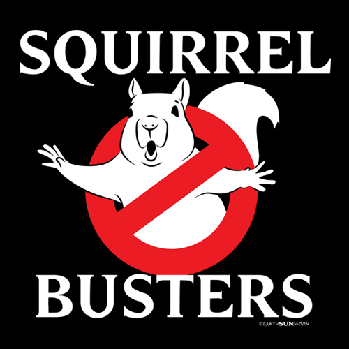 Squirrel Busters