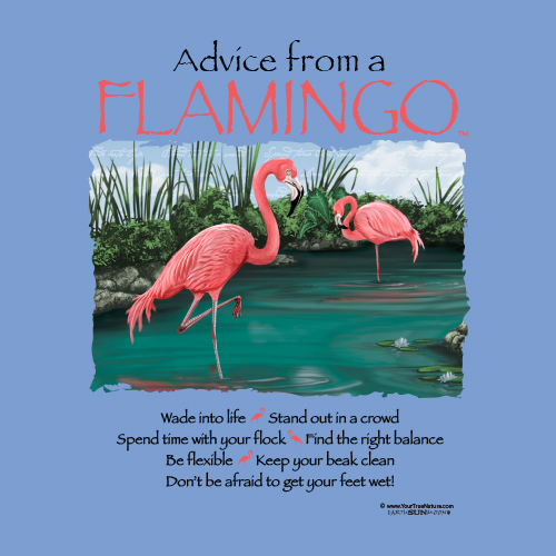 Advice Flamingo