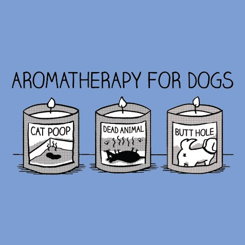 Aromatherapy for Dogs