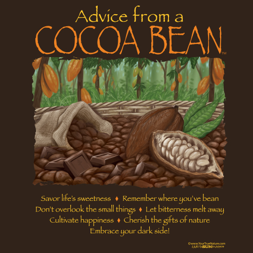 Advice Cocoa Bean