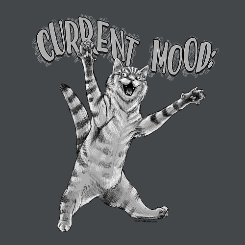 Current Mood Cat: Rawr