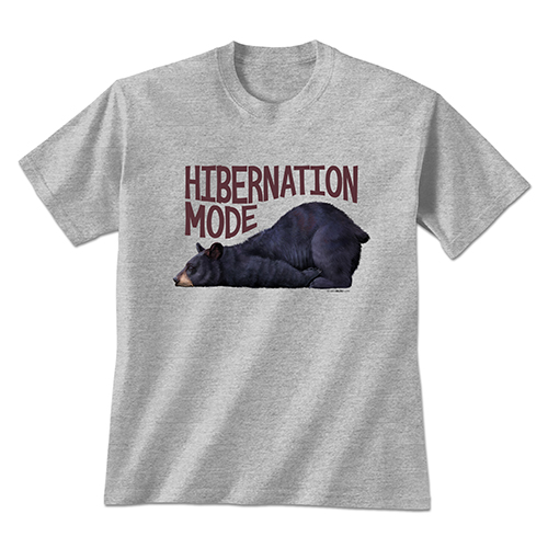 Hibernation Mode