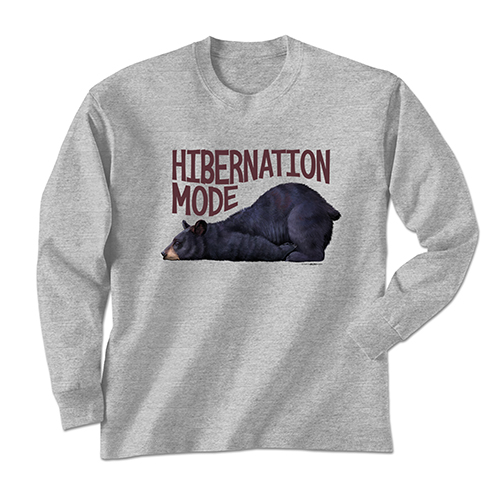 Hibernation Mode