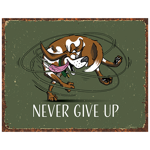 Never Give Up