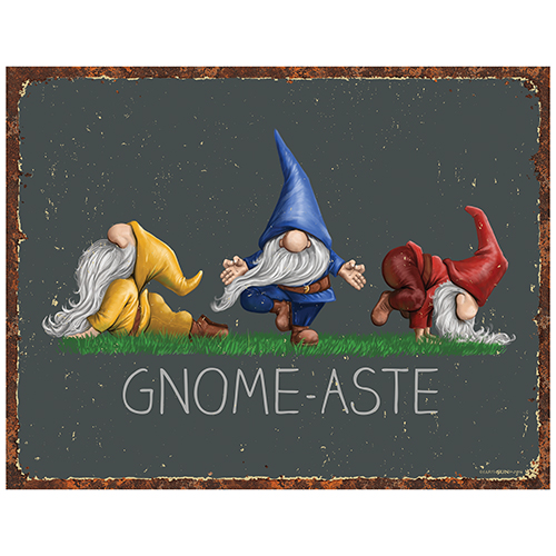 Gnome-aste