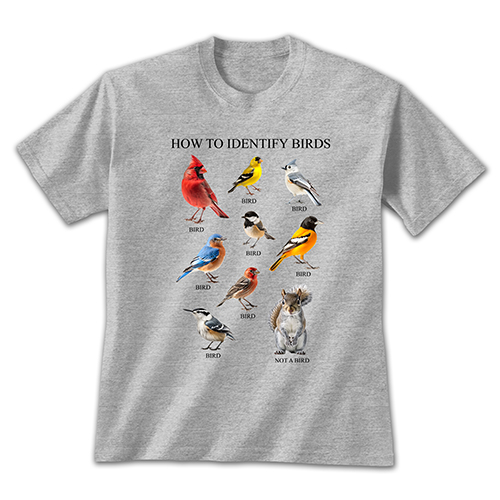 How to Identify Birds