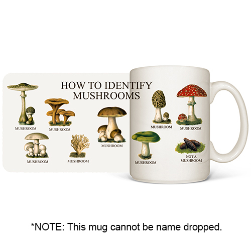 How to Identify Mushrooms