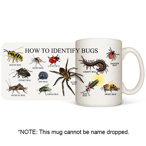 How to Identify Bugs