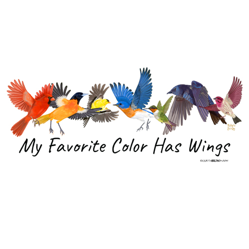 My Favorite Color Has Wings