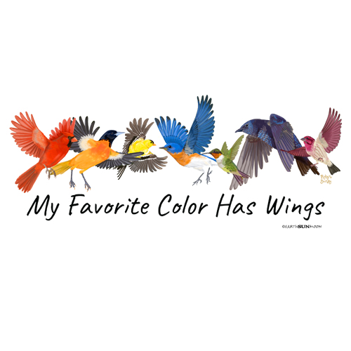 My Favorite Color - Birds