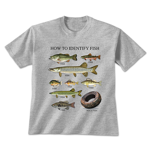 How to Identify Fish