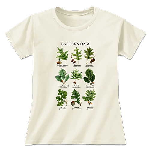 Eastern Oaks