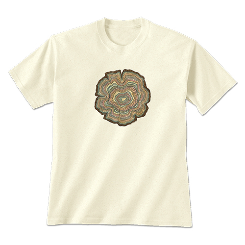 Tree Rings
