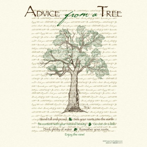 Advice Tree