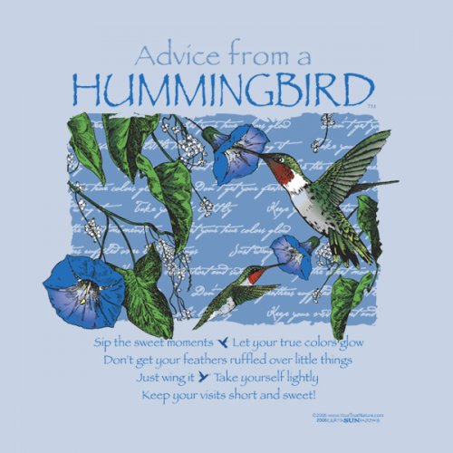 Advice Hummingbird