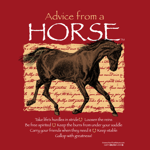 Advice Horse