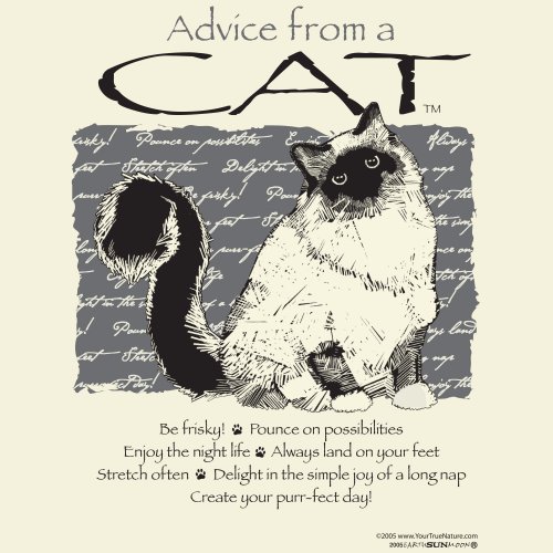Advice Cat