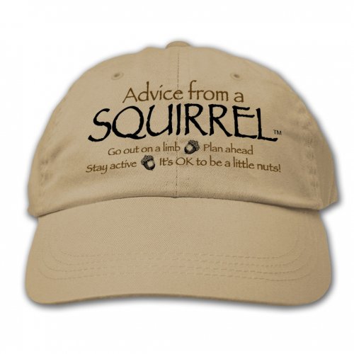 Advice Squirrel