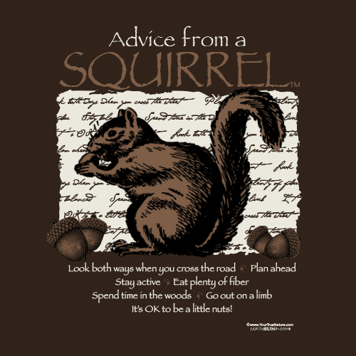 Advice Squirrel