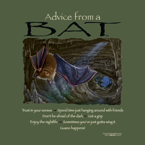 Advice Bat