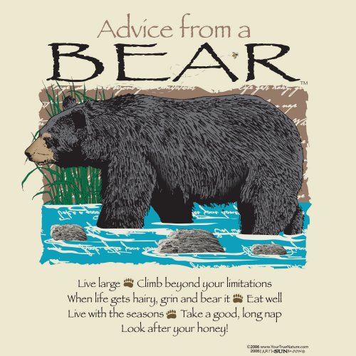 Advice Bear