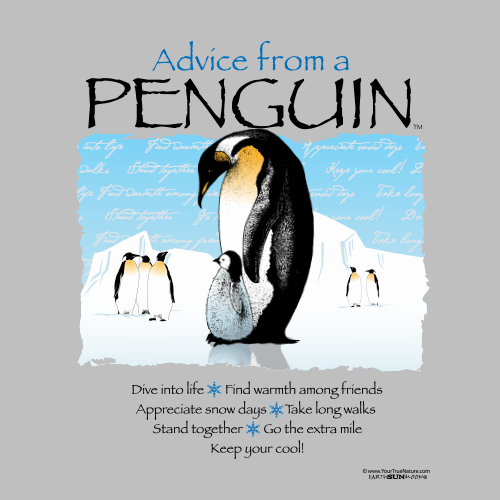Advice from a Penguin