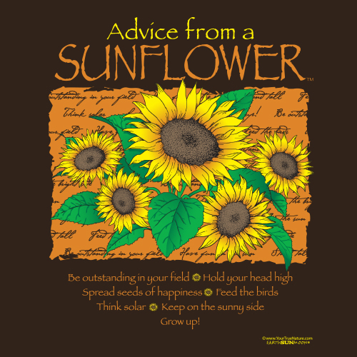 Advice Sunflower